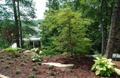 MTScapes, Inc. - Landscape Construction in Cumming, GA