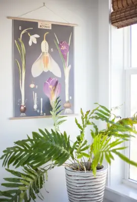 Inlet Shore — Interior Design & Decorating project by Crowell + Co. Interiors