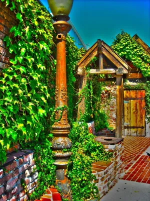 Walnut Creek Rustic Backyard by Camp & Camp Associates-Landscape Architects