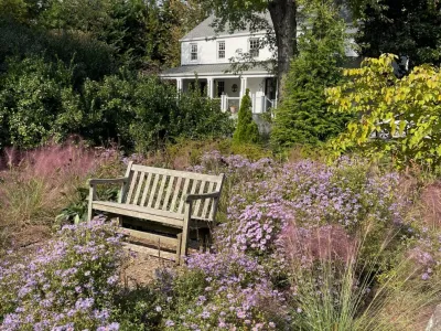 Native Roots Conservation Landscaping - Patio Design & Installation in Washington, 