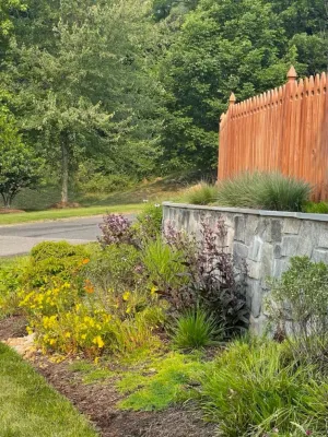 Native Roots Conservation Landscaping - Patio Design & Installation in Washington, 