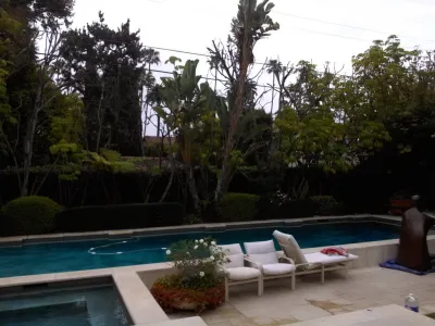 privacy hedge installation — Landscape Construction project by Natur Landscape Creations in Beverly Hills
