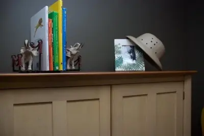 Children's Themed Bedroom — Interior Design & Decorating project by Heather Hannick Designs