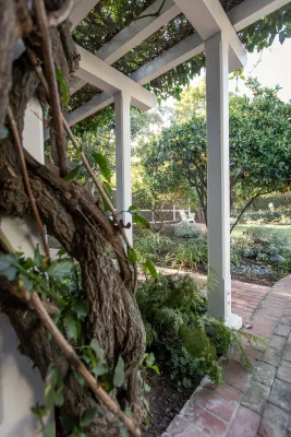 Natural Concepts Landscaping Contractors - Tree & Shrub Care in Montecito, CA