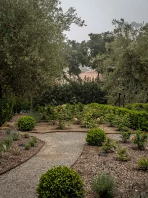 Cold Springs Road Montecito Mediterranean Landscape by Natural Concepts Landscaping Contractors