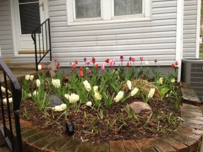 Natural Solutions Landscape Management - Landscape Maintenance in Springfield, OH