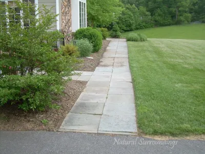 Natural Surroundings - Outdoor Lighting Installation in Damascus, MD