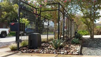 Texas Native Agave by Natural Wonders Landscaping
