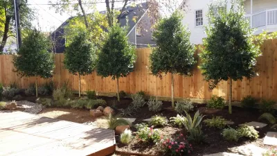 University — Landscape Construction project by Natural Wonders Landscaping in Houston