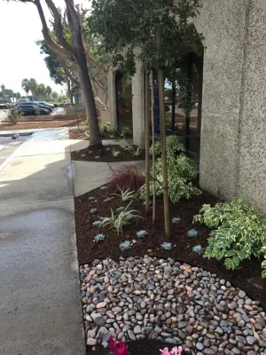 Nature Care Services, Inc. - Landscape Maintenance in Costa Mesa, CA