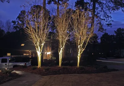 Landscape Lighting — Landscape Construction project by Nature One Landscape Design