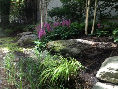 Nature's Perspective Landscaping - Lawn Aeration in Evanston, IL