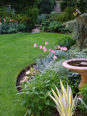 Nature's Perspective Landscaping - Lawn Aeration in Evanston, IL