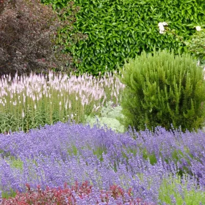 Lucchesi Plant & Soil Consulting, LLC - Irrigation System Repair in Los Gatos, CA