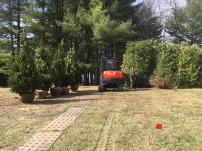 Arborvitae "Living Fence" Tree Installation — Landscape Construction project by Nature Works Land Care Inc.