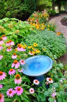 Naturescapes Landscape Specialists, Ltd - Landscape Maintenance in Paoli, PA
