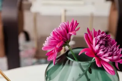The Whitley Co. Interiors - Professional Home Organizers in Columbia, MO