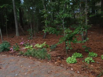 New Leaf Landscaping - Tree & Shrub Care in Durham, NC