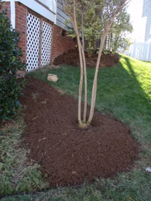 New Leaf Landscaping - Tree & Shrub Care in Durham, NC
