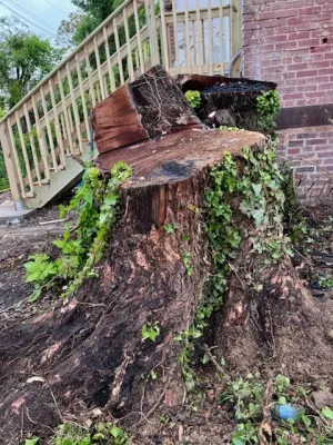 Luis Aleman, LLC - Landscape Maintenance in Owings Mills, MD