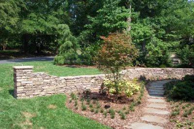New Leaf Landscaping - Tree & Shrub Care in Durham, NC