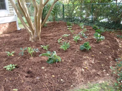 New Leaf Landscaping - Tree & Shrub Care in Durham, NC