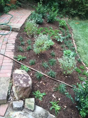 New Leaf Landscaping - Tree & Shrub Care in Durham, NC