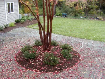 New Leaf Landscaping - Tree & Shrub Care in Durham, NC