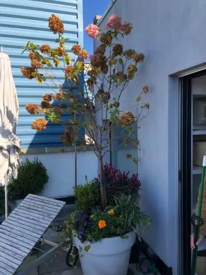 New York Garden Design & Landscape - Garden Remodeling in Brooklyn, NY