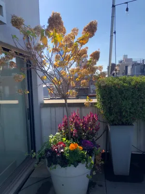 New York Garden Design & Landscape - Garden Remodeling in Brooklyn, NY