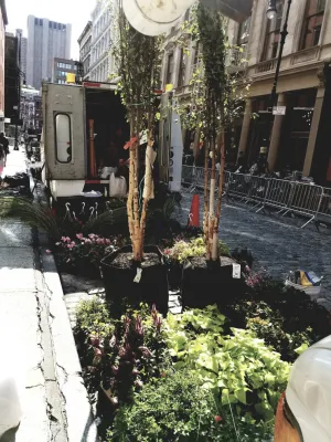 New York Plantings Garden Design - Drip Irrigation System Installation in New York City, NY