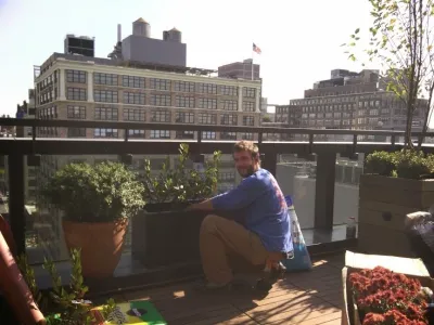 New York Plantings Garden Design - Drip Irrigation System Installation in New York City, NY