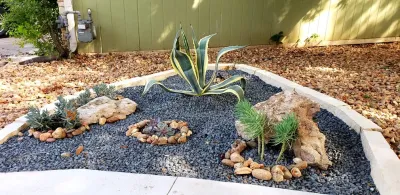 Noble Lawn & Landscaping - Land Cleaning in Austin, TX