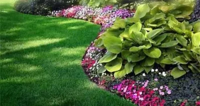 NOLAscapes Landscape & Design LLC - Tree & Shrub Care in New Orleans, LA