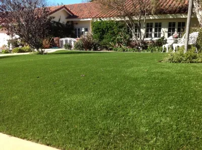 NoMow Turf - Landscape Construction in Lake Forest, CA