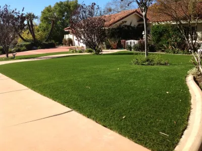 NoMow Turf - Landscape Construction in Lake Forest, CA