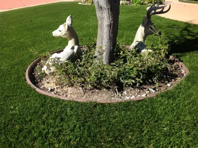 NoMow Turf - Landscape Construction in Lake Forest, CA