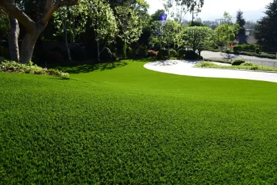 NoMow Turf - Landscape Construction in Lake Forest, CA