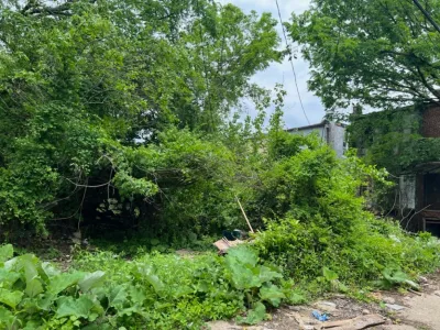 Luis Aleman, LLC - Landscape Maintenance in Owings Mills, MD