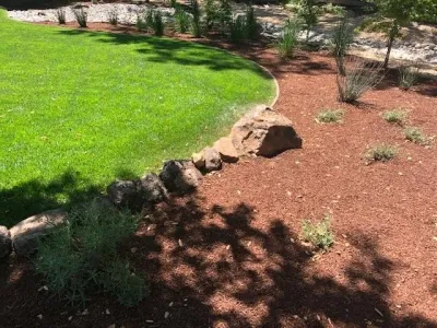 Nor Cal Landscape - Drip Irrigation System Installation in Gilroy, CA