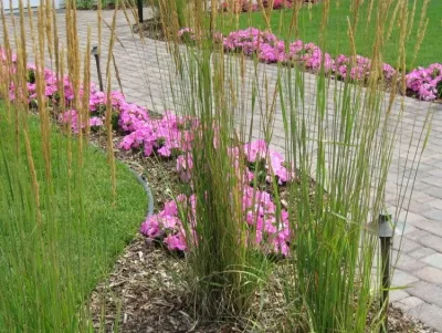 North Metro Companies LLC - Landscape Construction in Medina, OH