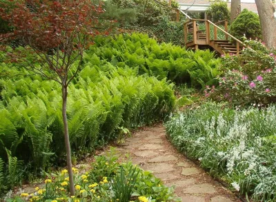 North Star Landscape Design & Installation - Garden Remodeling in Cassopolis, MI