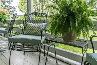 Southern Girls - Interior Design & Decorating in Lexington, VA