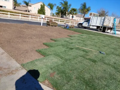 Luis Tree Service & Landscaping - Tree & Shrub Care in Corona, CA
