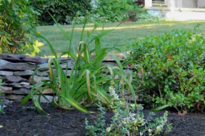 NorthShire Landscaping & Irrigation - Outdoor Lighting Installation in Nashua, NH
