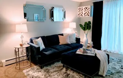 NAPERVILLE LIVING ROOM DECORATING — Interior Design & Decorating project by Alluring Designs Chicago