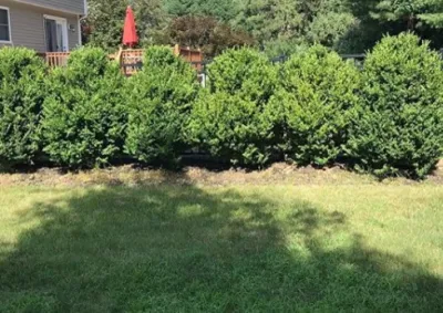 NorthShire Landscaping & Irrigation - Outdoor Lighting Installation in Nashua, NH