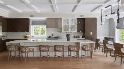 Neo Classic — Interior Design & Decorating project by John McClain Design