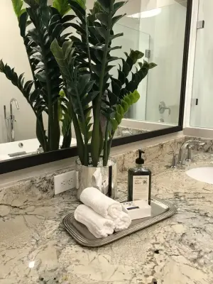 Mary Schmidt Interiors - Interior Design & Decorating in Gainesville, FL