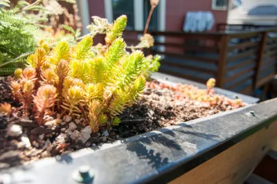 Northwest Native Landscapes LLC - Landscape Maintenance in Portland, OR